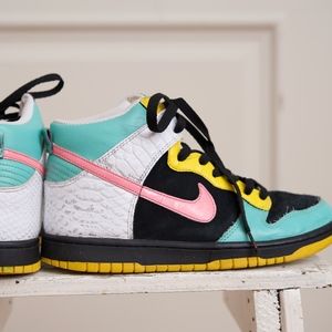 Nike Dunk Hi-Top Sneaker